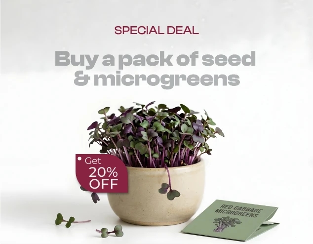 Fresh Rosslyn Gardens Microgreens