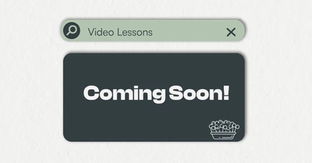 Rosslyn Gardens Superfoods